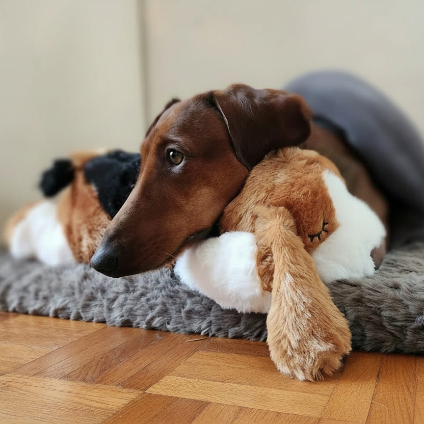 Peluche Réconfort à battement de cœur pour Teckel - Jouet apaisant pour chiens